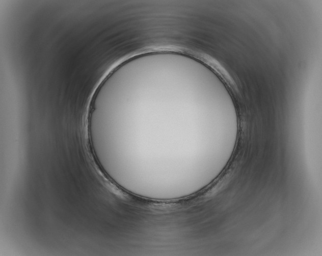X0000110931236200906181149