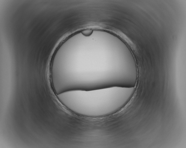 X0000110931240200906181149