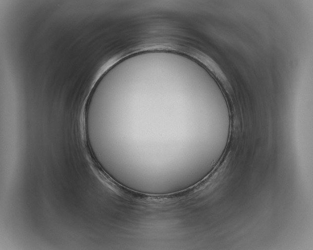 X0000110931242200906181149
