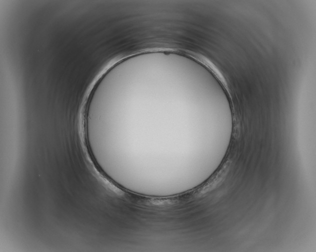 X0000110931243200906181149