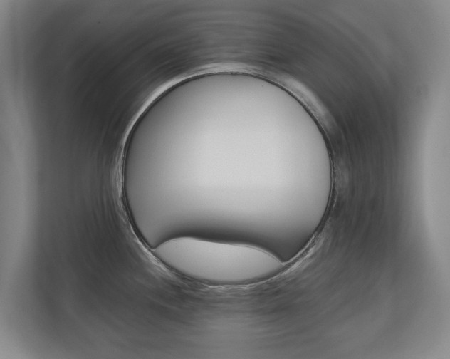 X0000110931244200906181149