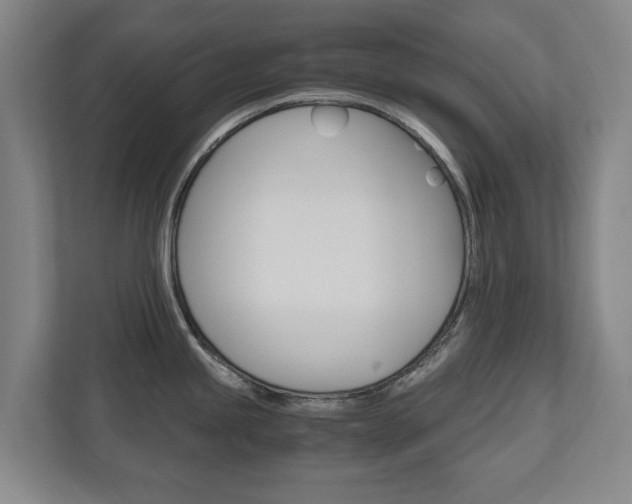 X0000110931245200906181149