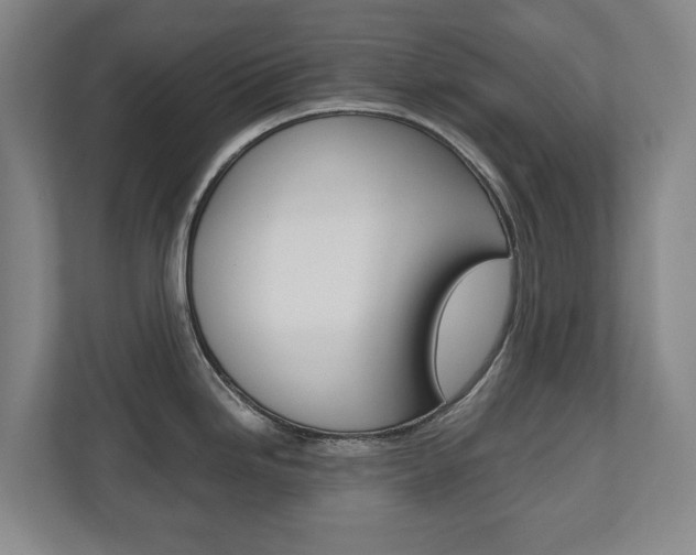 X0000110931246200906181149