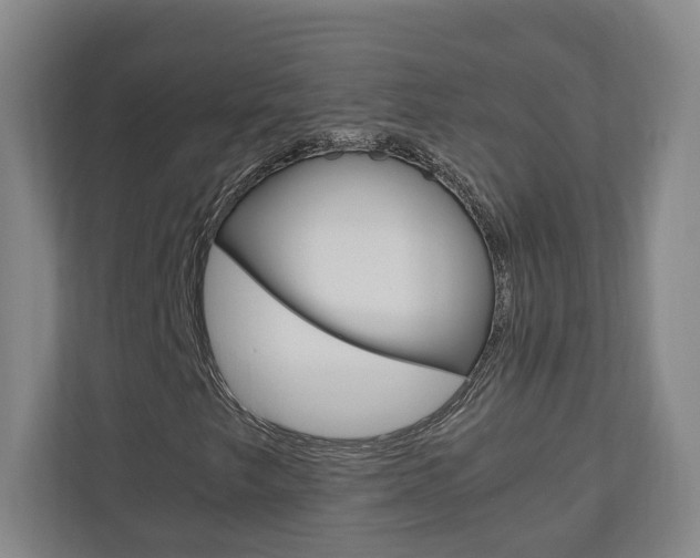 X0000110931249200906181149