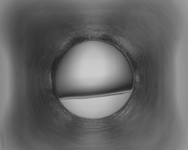 X0000110931252200906181149