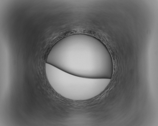 X0000110931253200906181149
