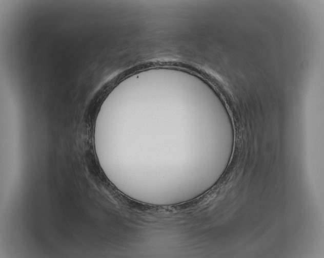 X0000110931255200906181149