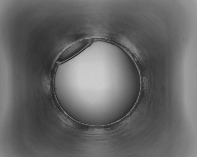 X0000110931260200906181149