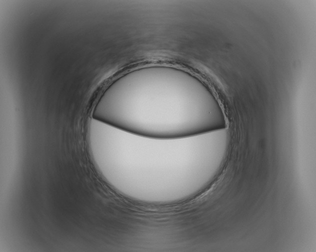 X0000110931261200906181149