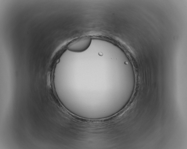 X0000110931262200906181149