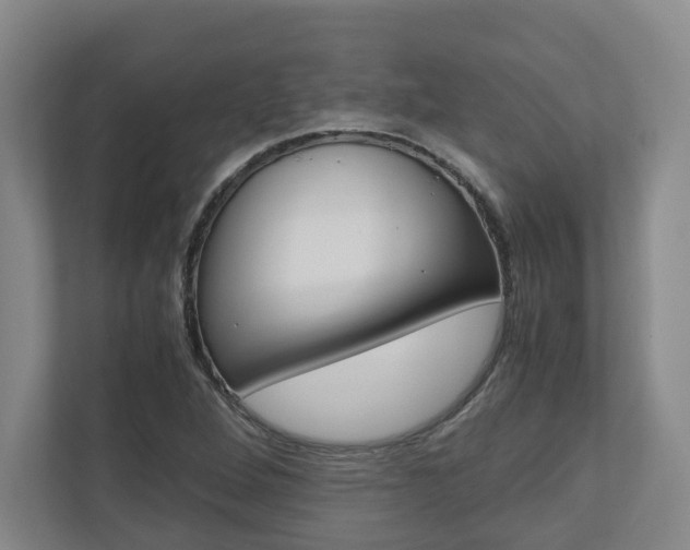 X0000110931264200906181148