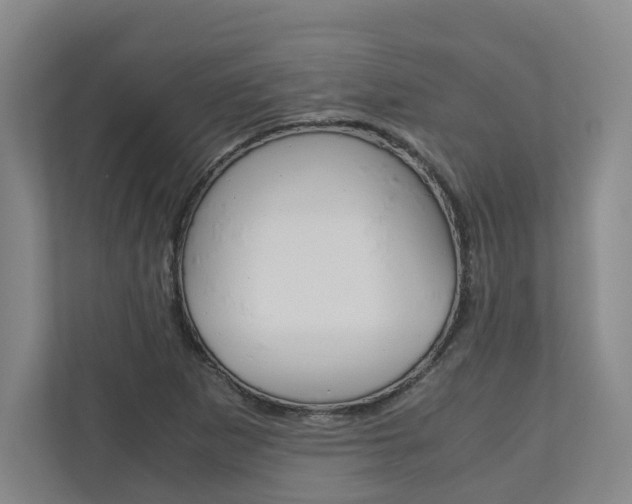 X0000110931265200906181148
