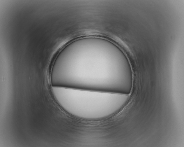 X0000110931269200906181148