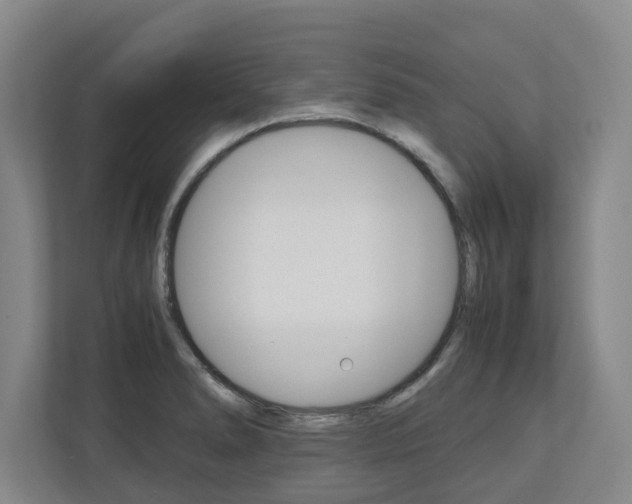 X0000110931278200906181148