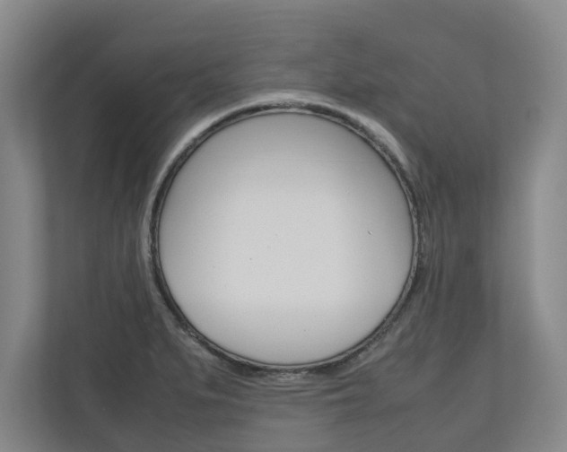 X0000110931279200906181148