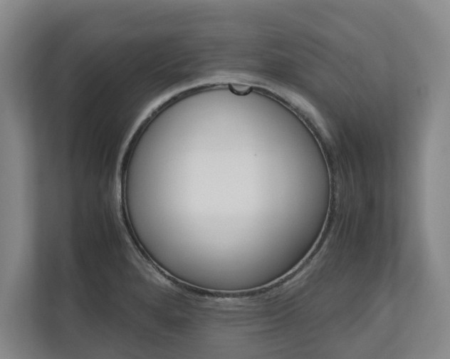 X0000110931280200906181148