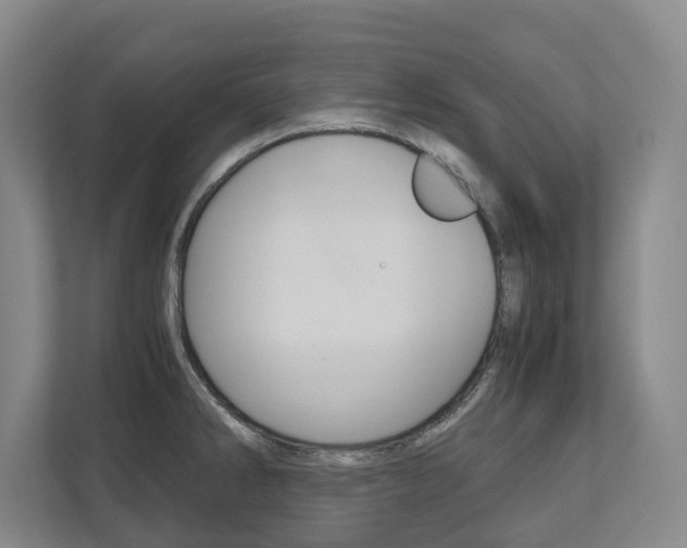 X0000110931286200906181148