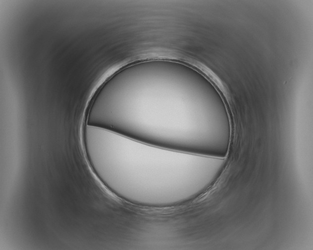 X0000110931293200906181148