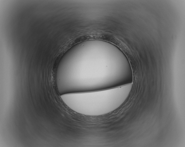 X0000110931298200906181147