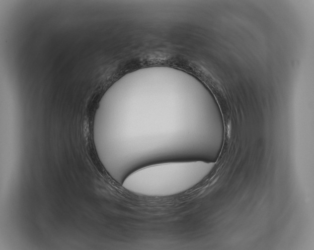 X0000110931299200906181147