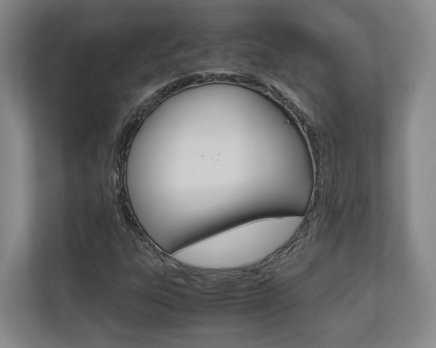 X0000110931303200906181148