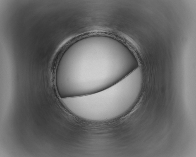 X0000110931310200906181148