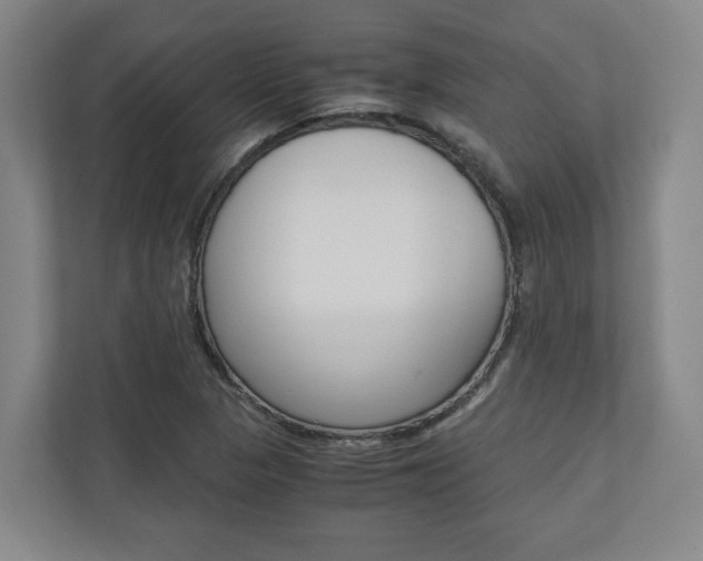 X0000110931313200906181148