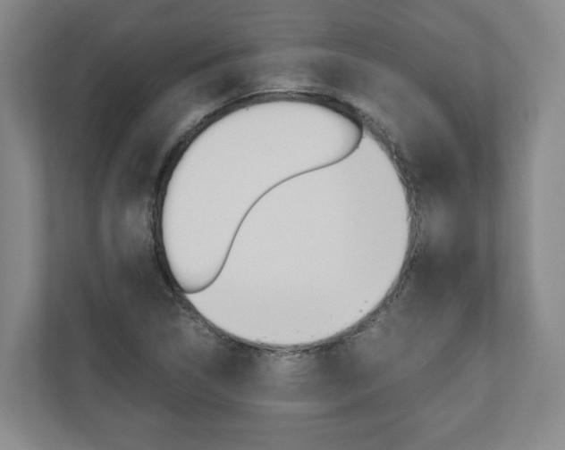 X0000110931314200906181148