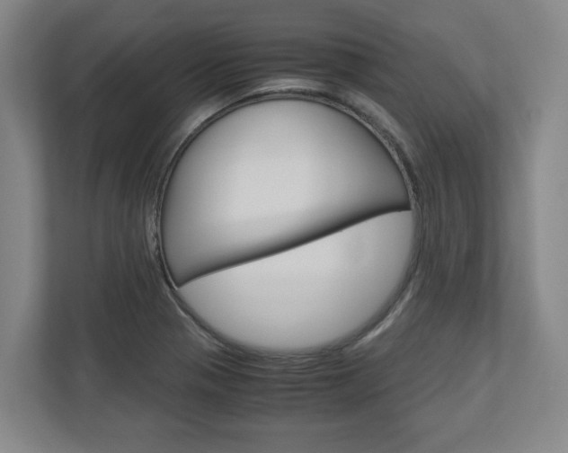 X0000110931321200906181148