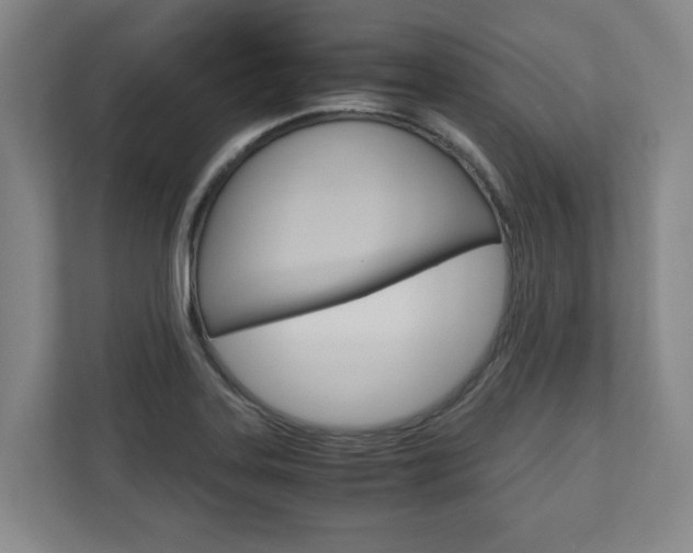 X0000110931323200906181148