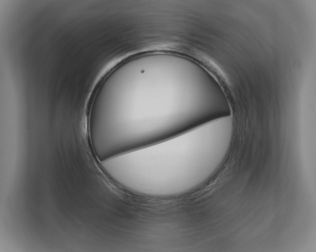 X0000110931324200906181148