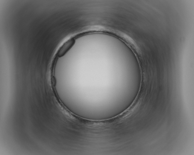 X0000110931326200906181148