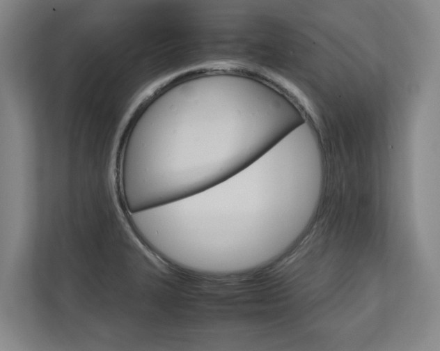 X0000110931327200906181148