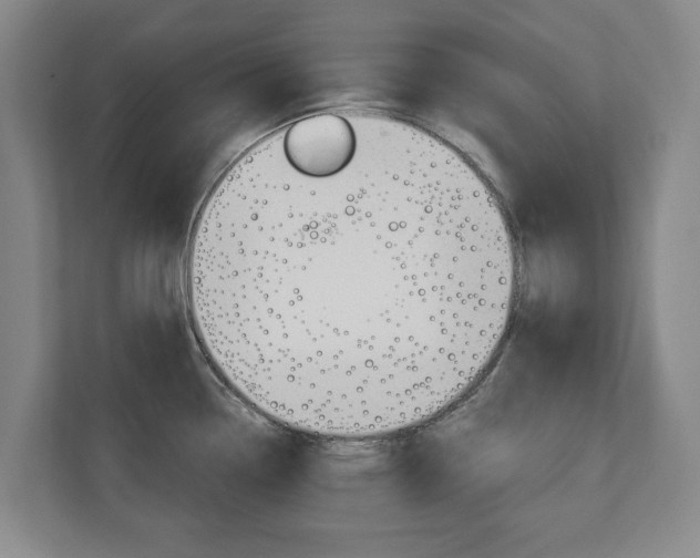 X0000110931338200906181148