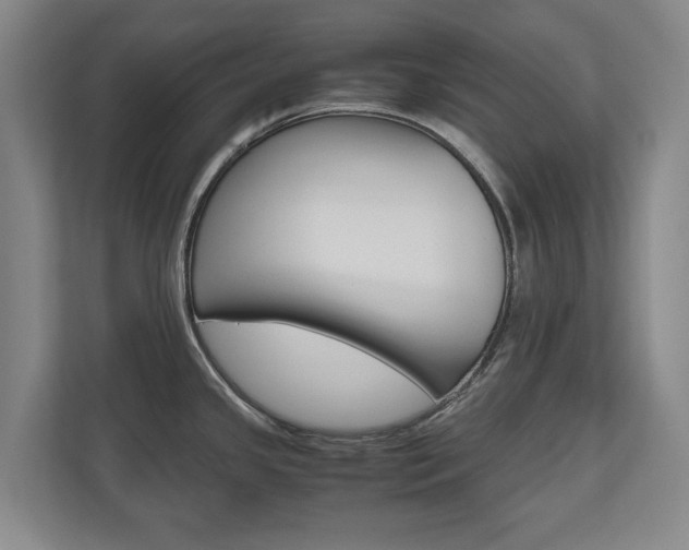 X0000110931341200906181148