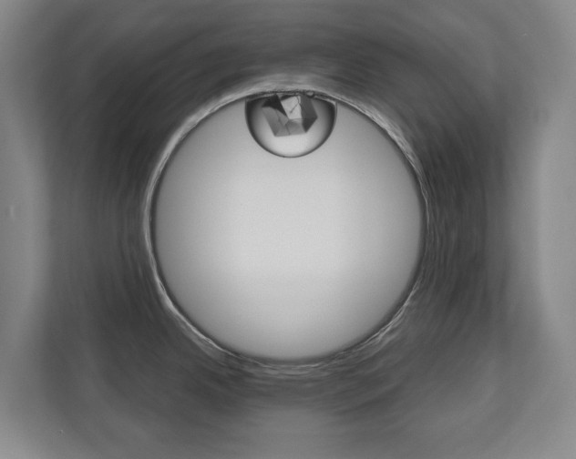 X0000110931342200906181148