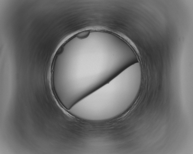 X0000110931343200906181148