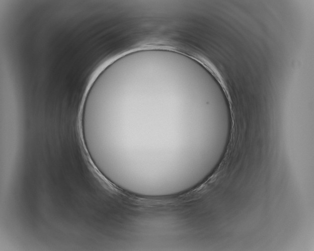 X0000110931344200906181148