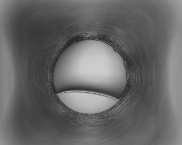 X0000110931345200906181147