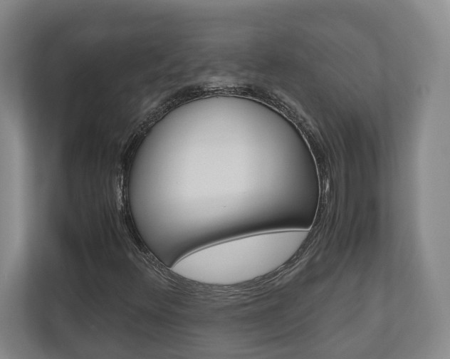 X0000110931348200906181147