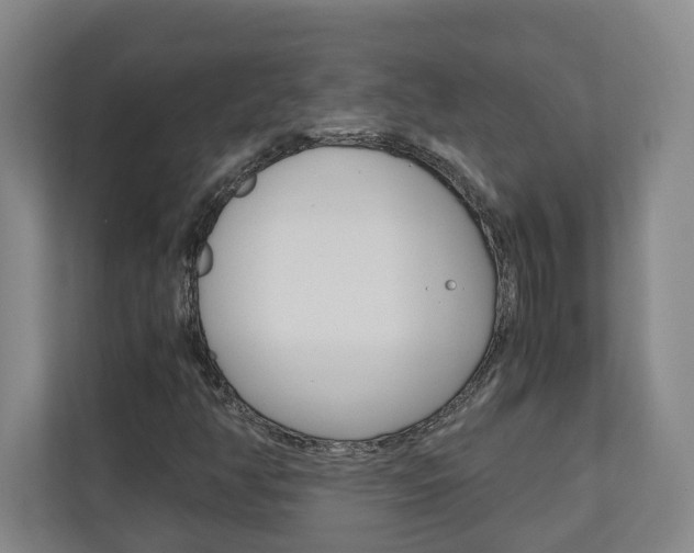 X0000110931350200906181147