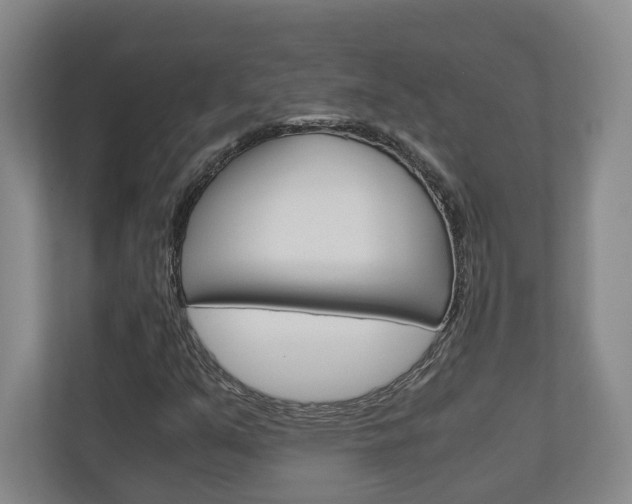 X0000110931351200906181147