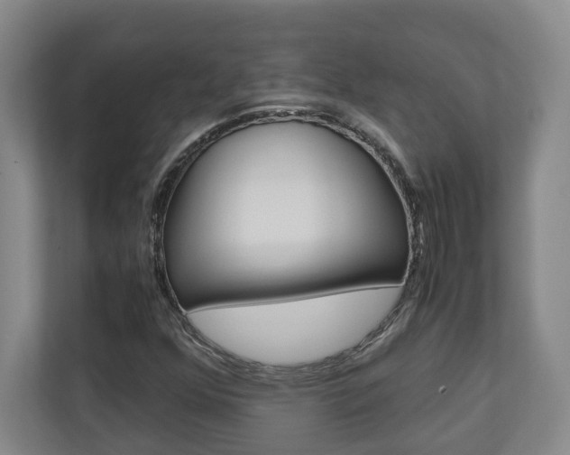 X0000110931352200906181147