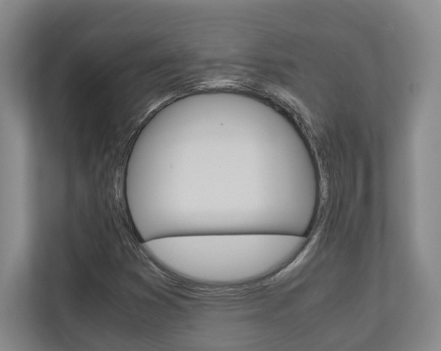 X0000110931353200906181147
