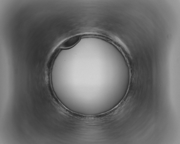 X0000110931360200906181147