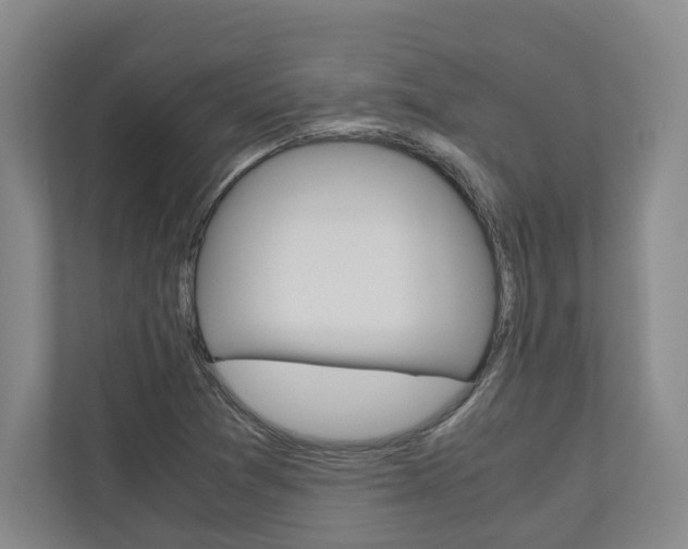 X0000110931361200906181147