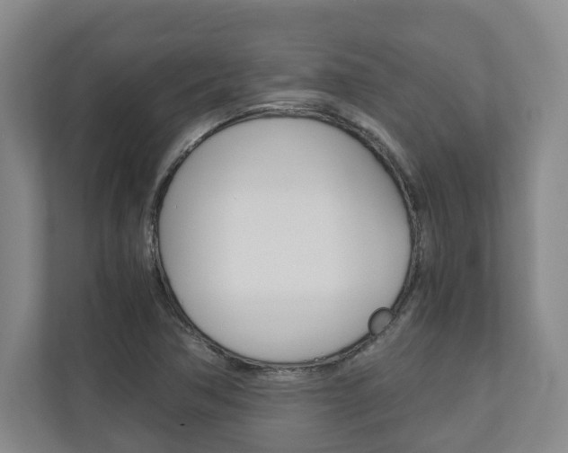X0000110931362200906181147
