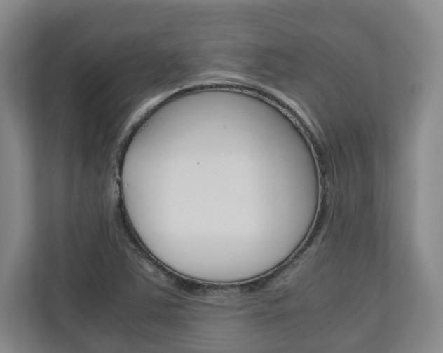 X0000110931363200906181147