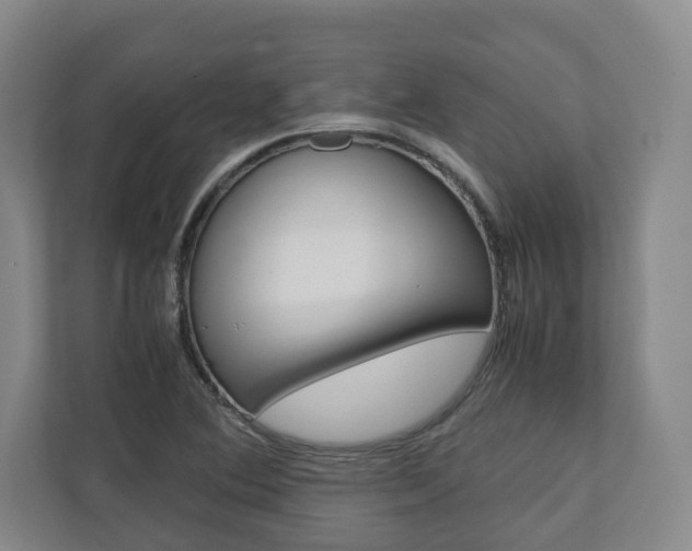 X0000110931364200906181147