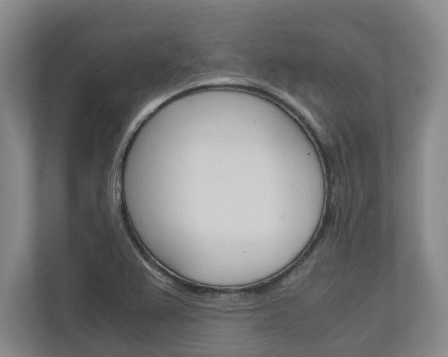 X0000110931367200906181147